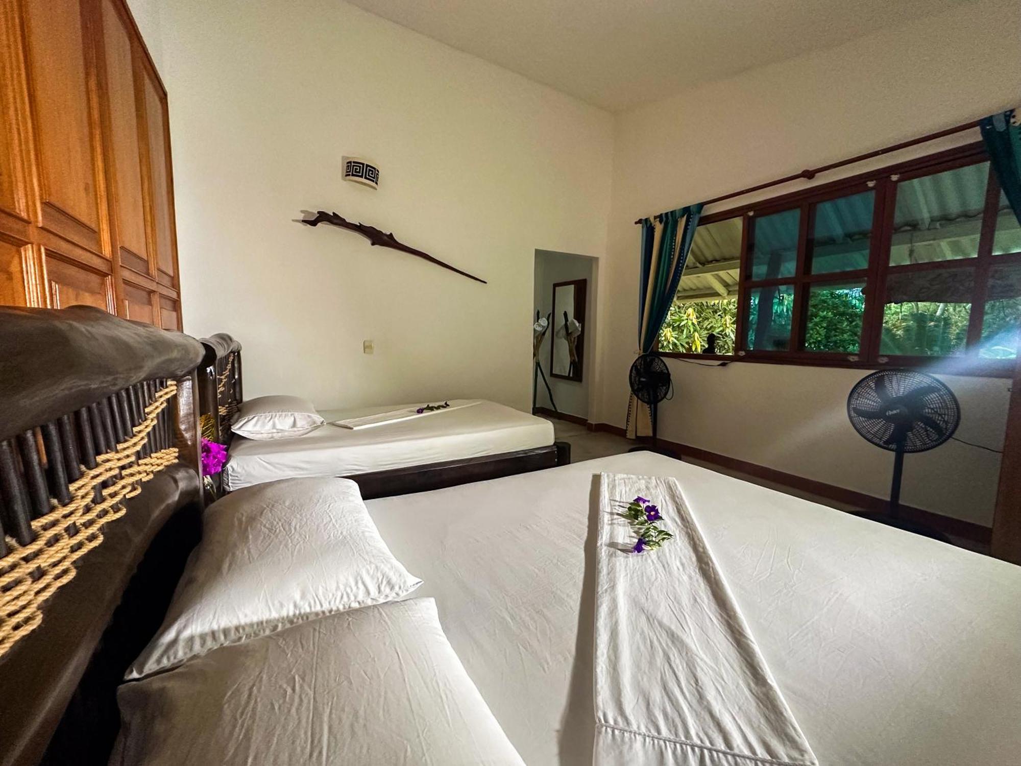 La Jorara Ecohotel Y Reserva Natural Palomino Room photo